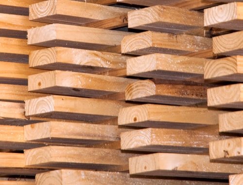 ForestalLaOtilia_2019_Productos_Tablas